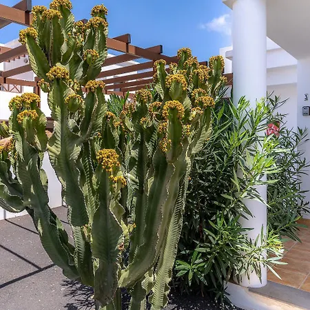 El Varadero Villa Playa Blanca (Lanzarote)